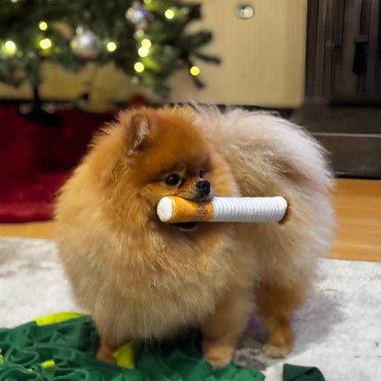 PetSafe™ - Indestructible Dog Toys Built for Power Chewers Who Never Quit - My Pet's Palace