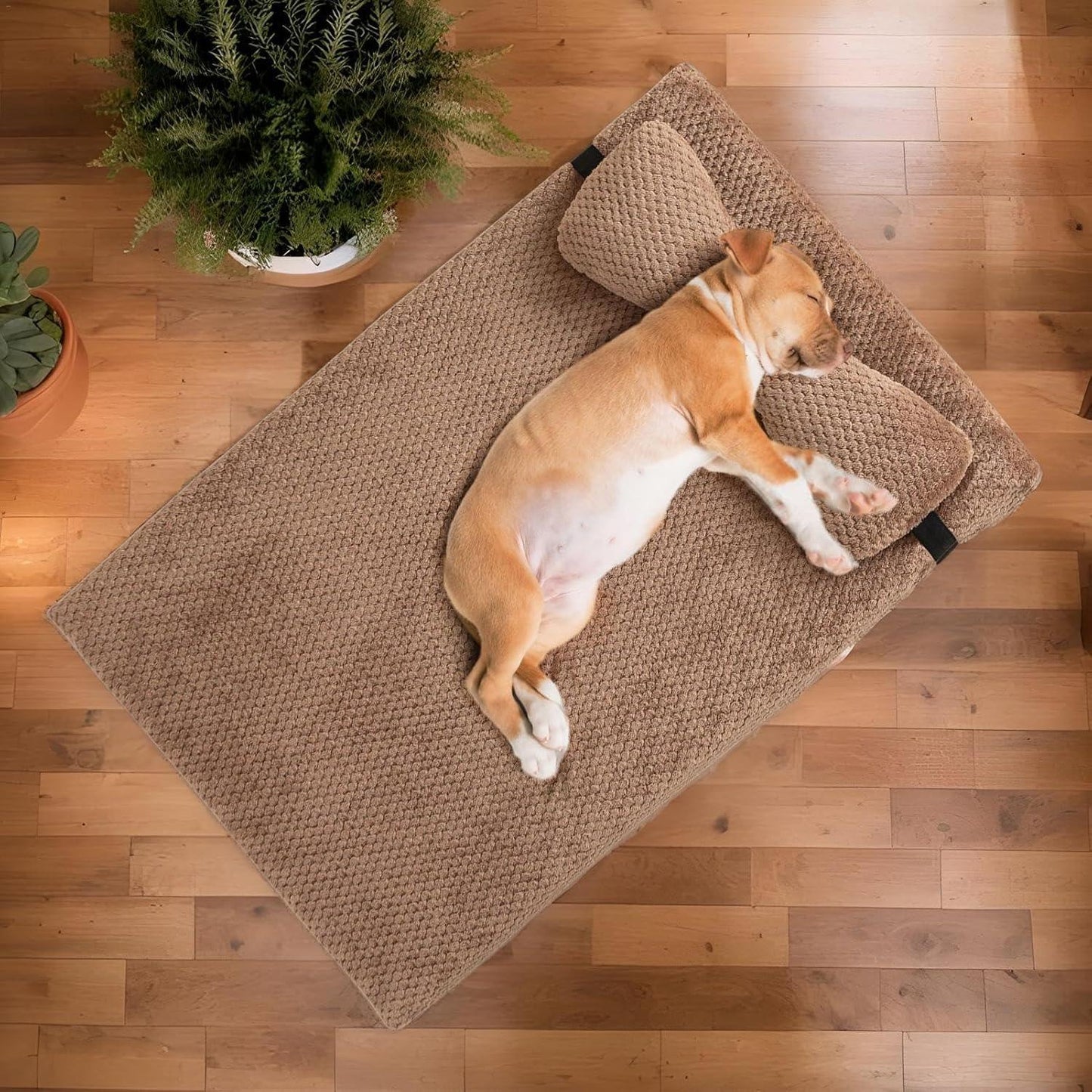 Orthopedic-Dog-Bed-Size-Guide