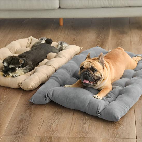 Orthopedic Dog Bed™ – 3-in-1 Multifunctional Sleeping Pad - My Pet's Palace