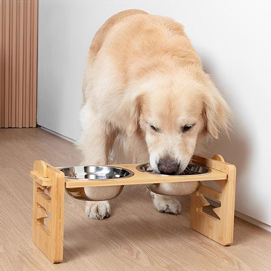 Raised Dog Bowls™ – Adjustable & Tilted for Better Digestion - My Pet's Palace