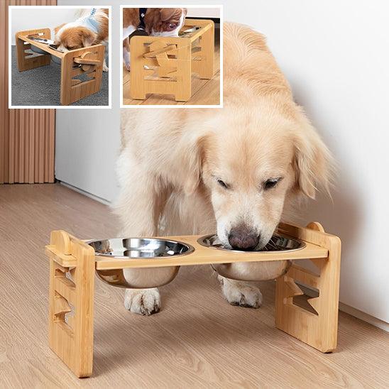 Raised Dog Bowls™ – Adjustable & Tilted for Better Digestion - My Pet's Palace