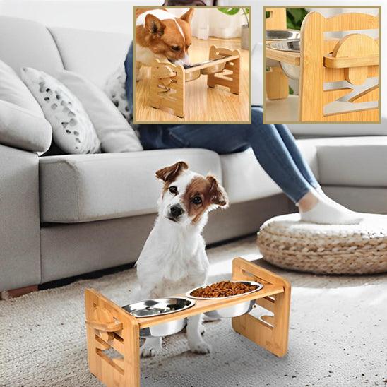 Raised Dog Bowls™ – Adjustable & Tilted for Better Digestion - My Pet's Palace