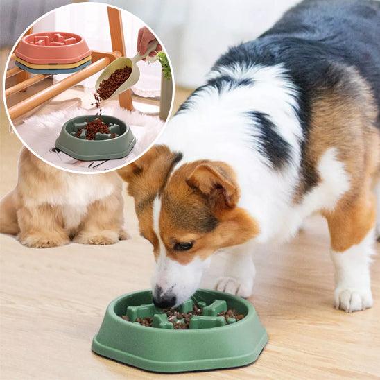 Slow Feeder Dog Bowl™ – The Ultimate Solution for Healthier, Slower Mealtimes. - My Pet's Palace