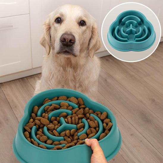 Slow Feeder Dog Bowl™ – The Ultimate Solution for Healthier, Slower Mealtimes. - My Pet's Palace
