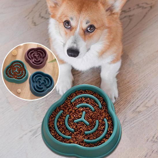 Slow Feeder Dog Bowl™ – The Ultimate Solution for Healthier, Slower Mealtimes. - My Pet's Palace