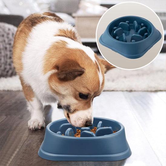 Slow Feeder Dog Bowl™ – The Ultimate Solution for Healthier, Slower Mealtimes. - My Pet's Palace