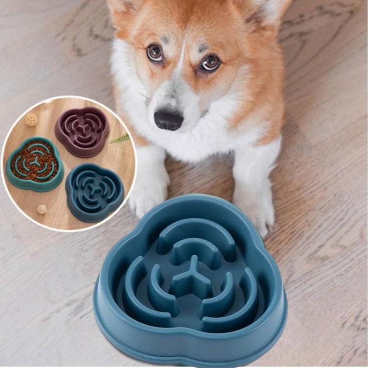 Slow Feeder Dog Bowl™ – The Ultimate Solution for Healthier, Slower Mealtimes. - My Pet's Palace