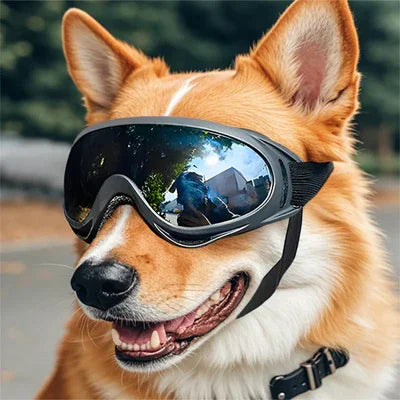adjustable-comfort-fit-dog-goggles-for-uk-adventures