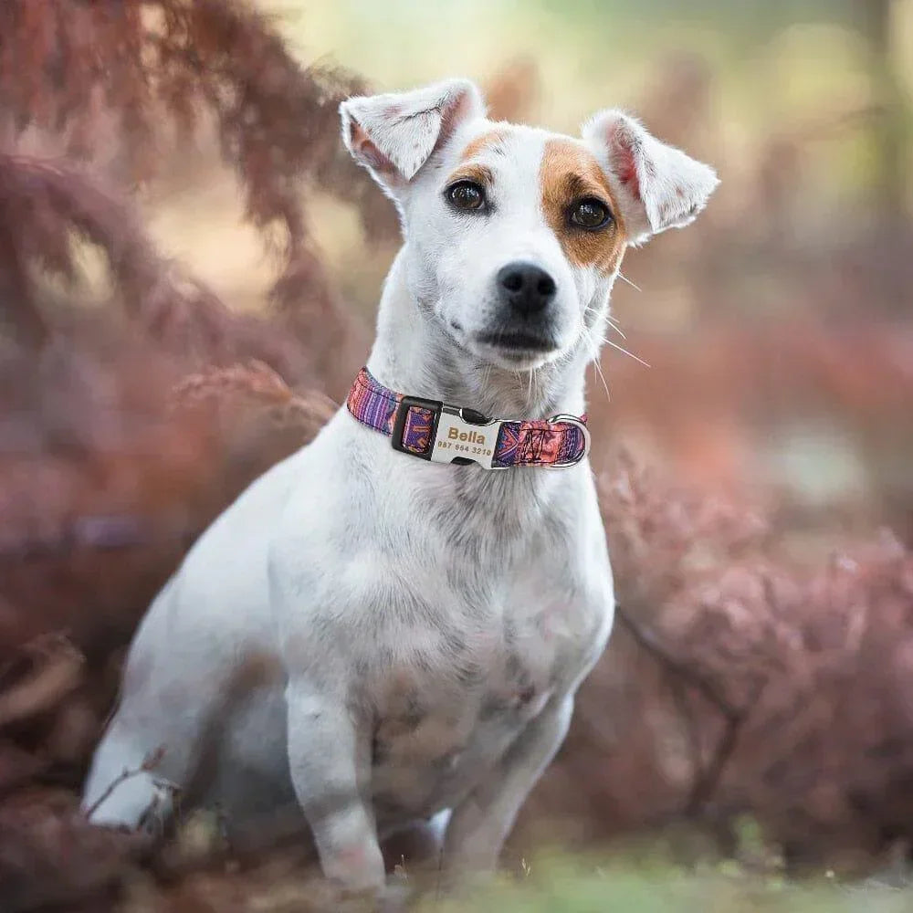 AdjustableDogCollar™ - My Pet's Palace