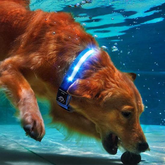 Petsafe™ Apple AirTag LED Dog Collar – Waterproof, Rechargeable & Secure - My Pet's Palace