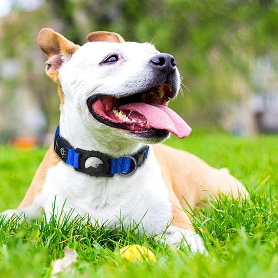Petsafe™ Apple AirTag LED Dog Collar – Waterproof, Rechargeable & Secure - My Pet's Palace