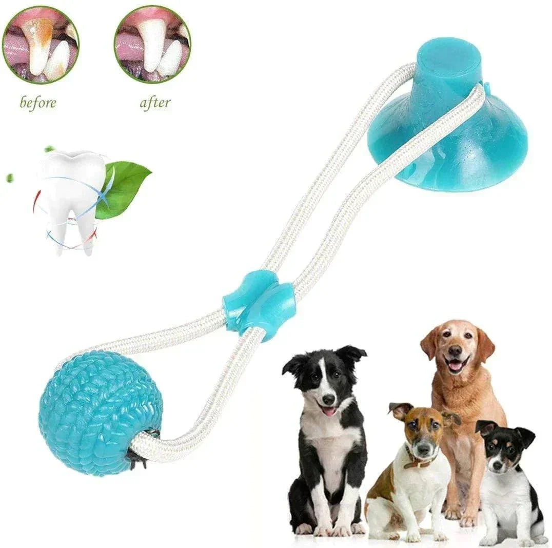 BestpetToy™ - My Pet's Palace