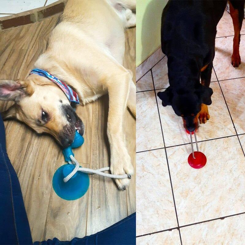 BestpetToy™ - My Pet's Palace