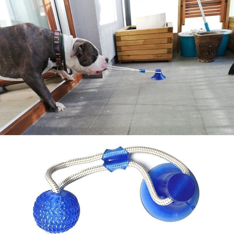 BestpetToy™ - My Pet's Palace