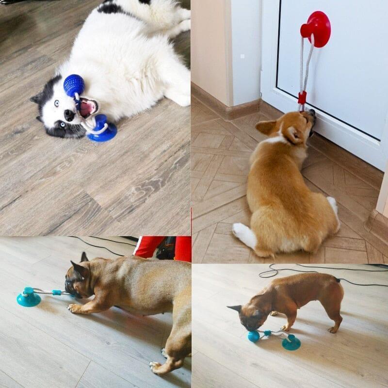 BestpetToy™ - My Pet's Palace