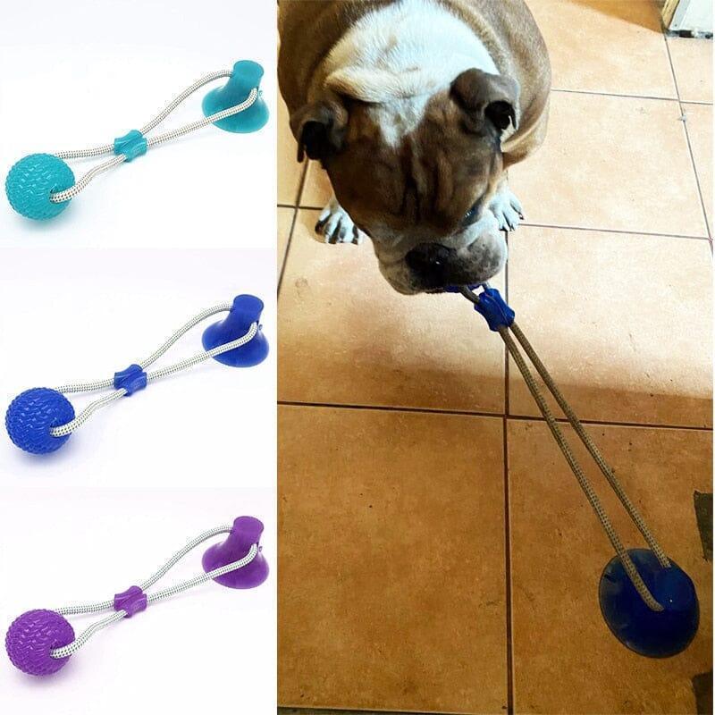 BestpetToy™ - My Pet's Palace