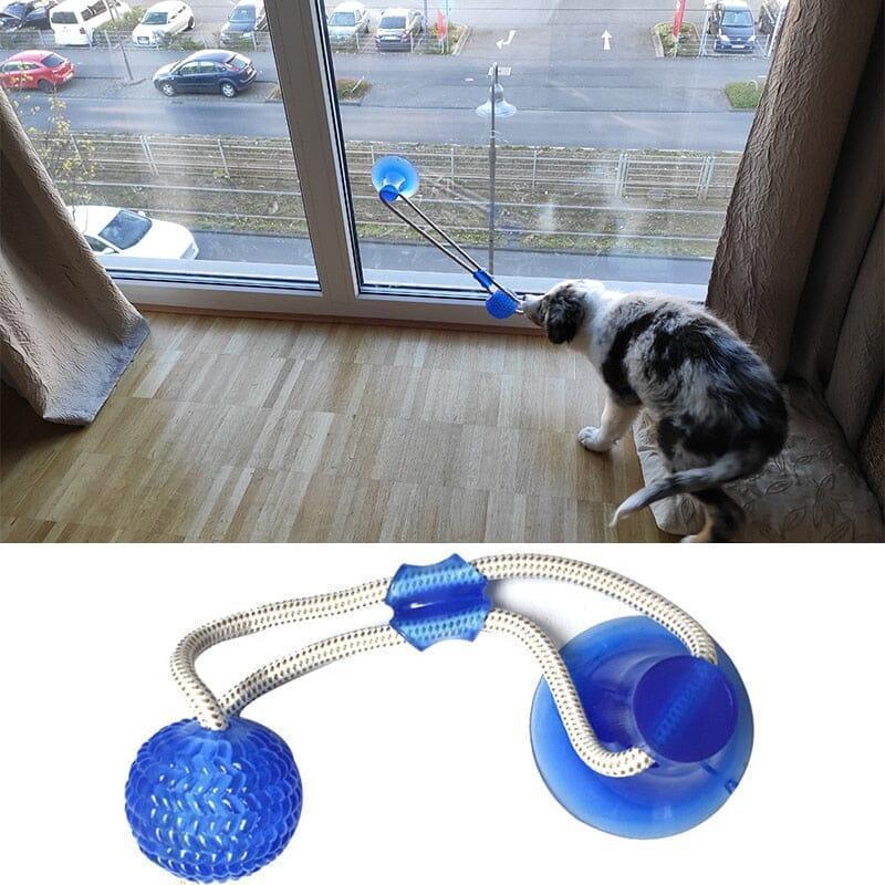 BestpetToy™ - My Pet's Palace