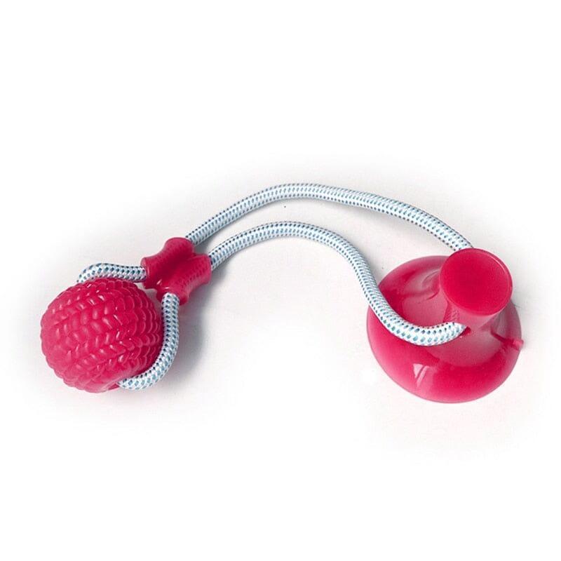 BestpetToy™ - My Pet's Palace