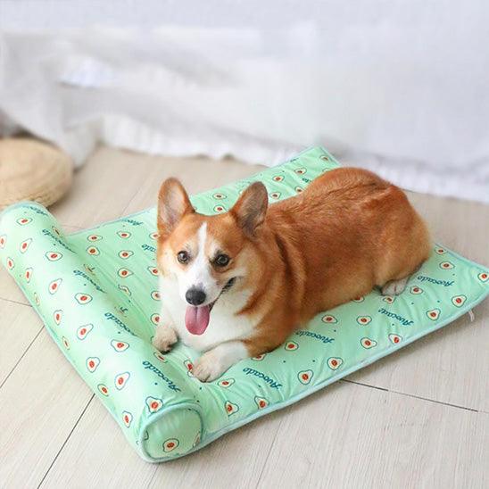 PetSafe™ Cooling Dog Mat – Stay Cool, Comfortable & Safe - My Pet's Palace