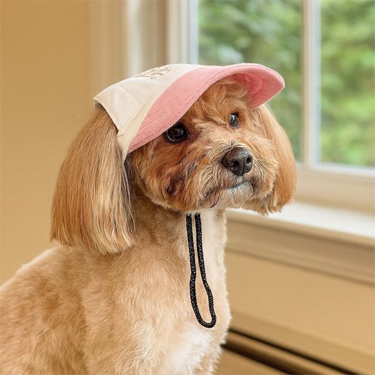 dog-cap-sun-protection-png