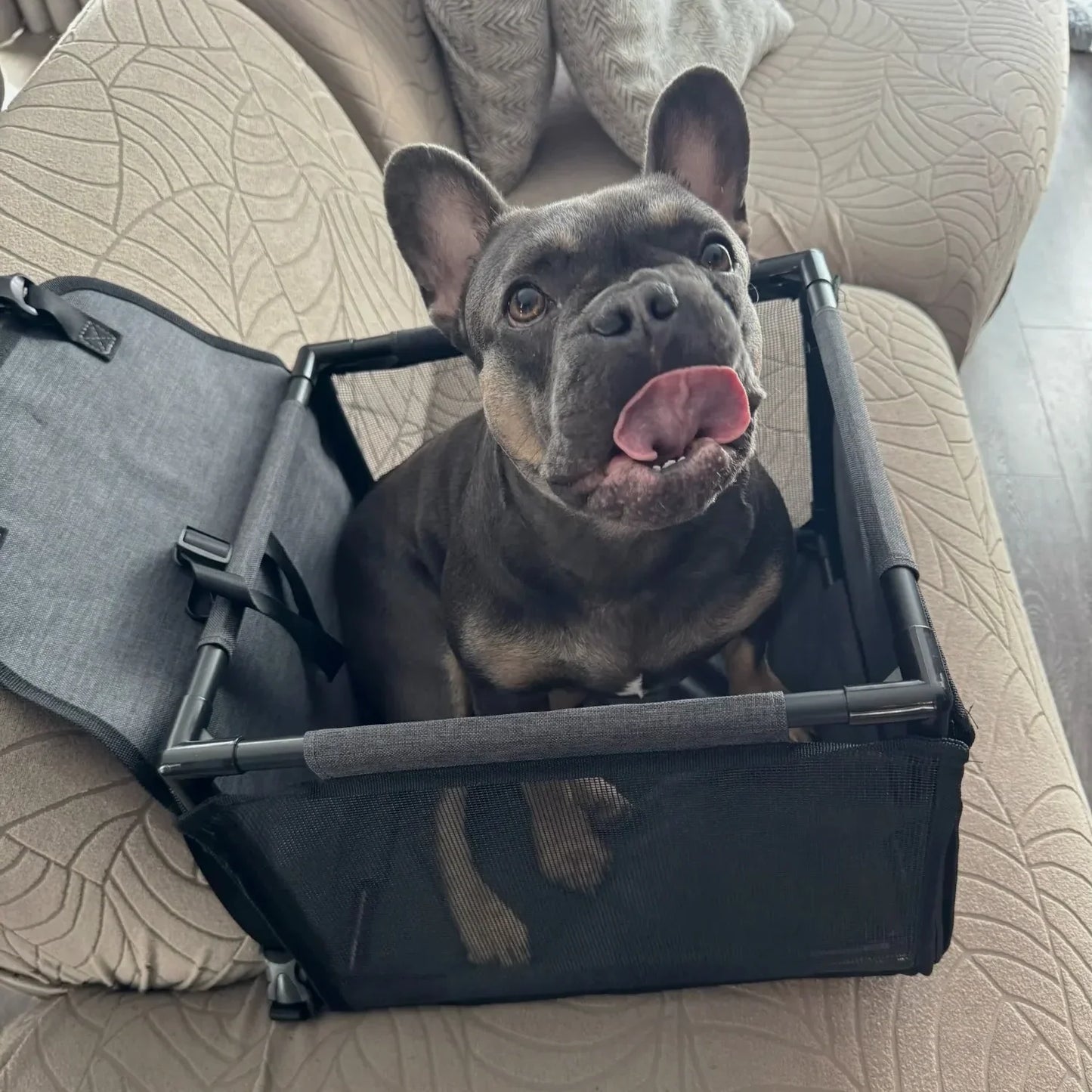 dog-car-seat-cover-protecting-uk-car-interior