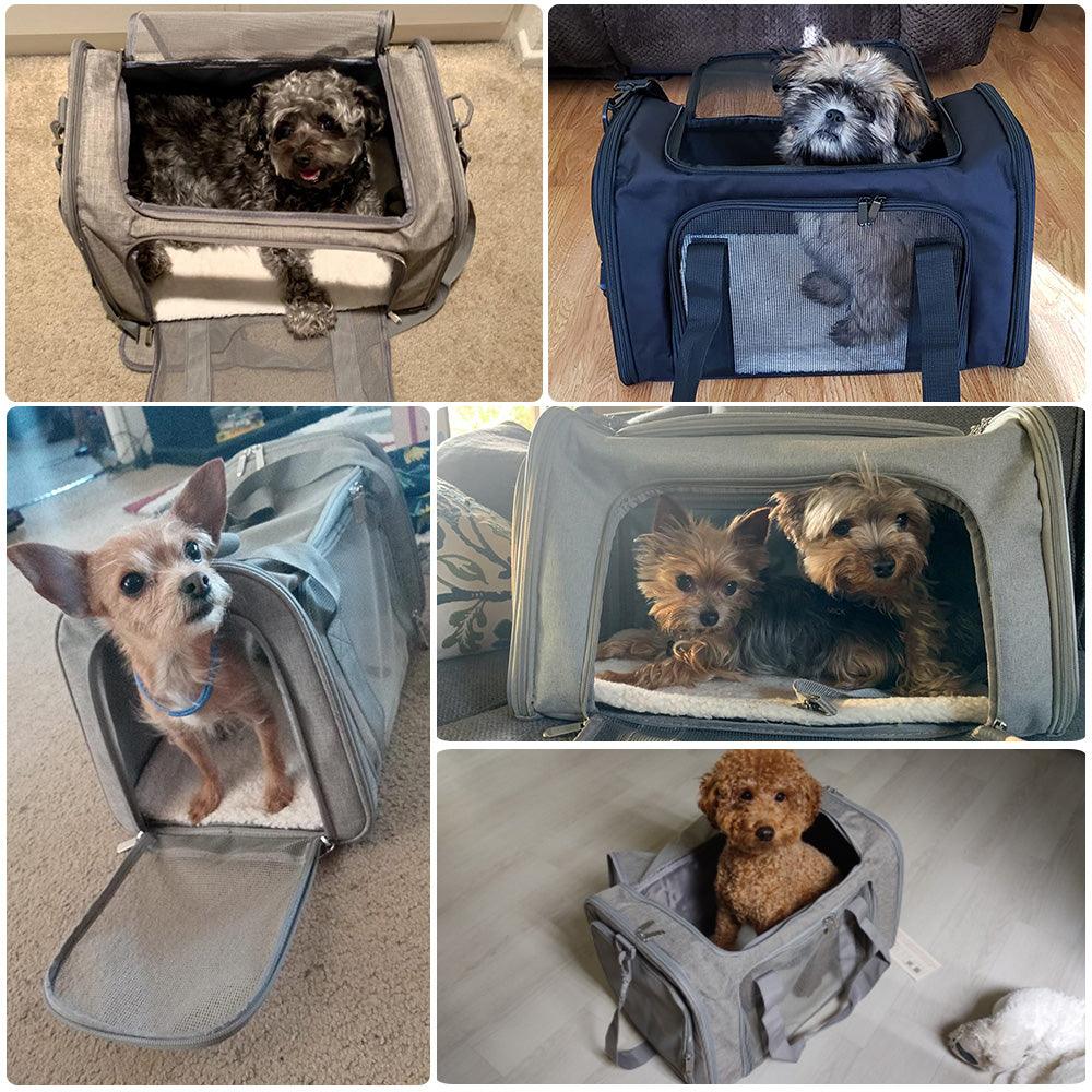 PetSafe™ Dog Carrier – Airline Approved, Durable & Comfortable for Travel - My Pet's Palace