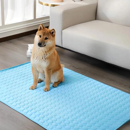PetSafe™ Dog Cooling Mat – Keep Your Dog Cool & Comfortable All Summer Long - My Pet's Palace