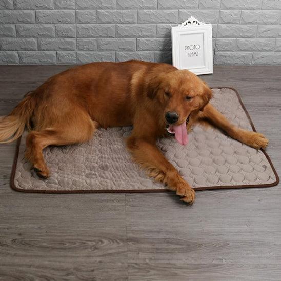 PetSafe™ Dog Cooling Mat – Keep Your Dog Cool & Comfortable All Summer Long - My Pet's Palace