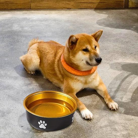 dog-feeding-bowl-non-toxic-high-quality-material