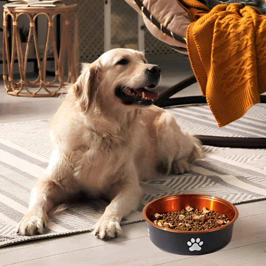 dog-feeding-bowl-safe-durable-easy-to-clean