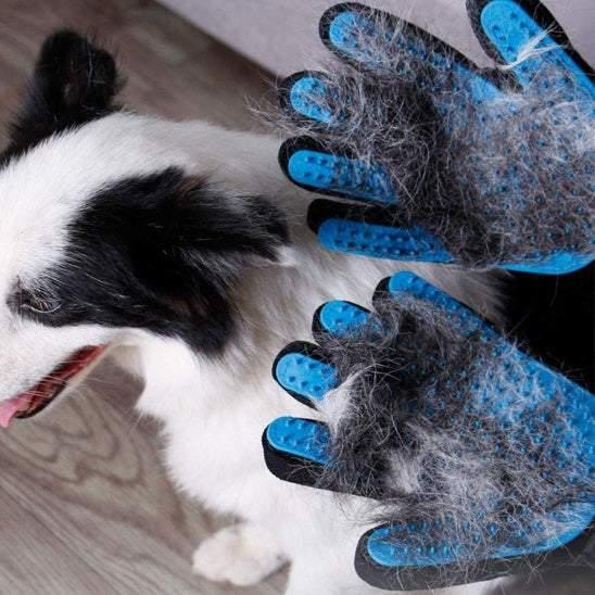 PetSafe™ Dog Grooming Gloves - Pet Hair Remover & Massage Tool - My Pet's Palace