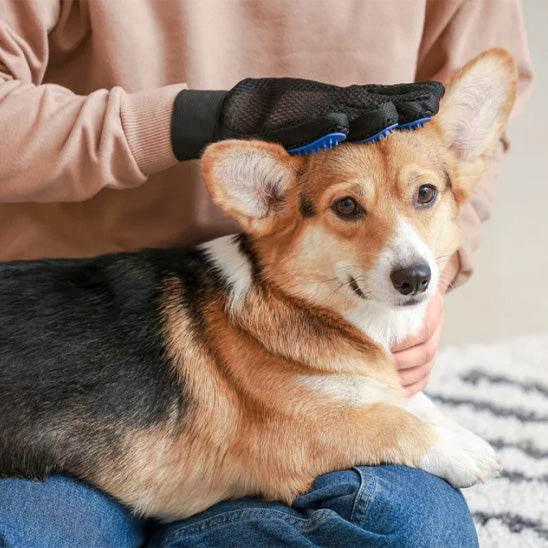 PetSafe™ Dog Grooming Gloves - Pet Hair Remover & Massage Tool - My Pet's Palace