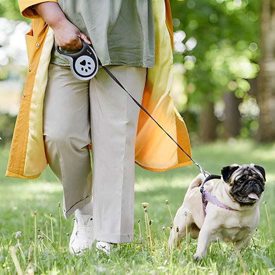 PawStrip™ 5m Retractable Dog Leash– Give Your Dog Freedom with Control - My Pet's Palace