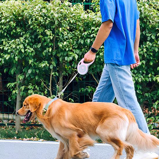 PawStrip™ 5m Retractable Dog Leash– Give Your Dog Freedom with Control - My Pet's Palace