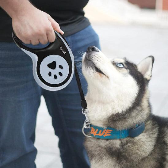 PawStrip™ 5m Retractable Dog Leash– Give Your Dog Freedom with Control - My Pet's Palace
