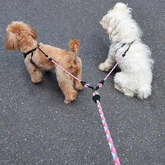 PetSmart™ Dog Leashes for Dogs – Tangle-Free Double-Head Leash for Two Dogs - My Pet's Palace
