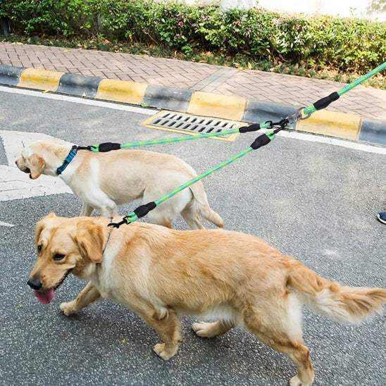 PetSmart™ Dog Leashes for Dogs – Tangle-Free Double-Head Leash for Two Dogs - My Pet's Palace