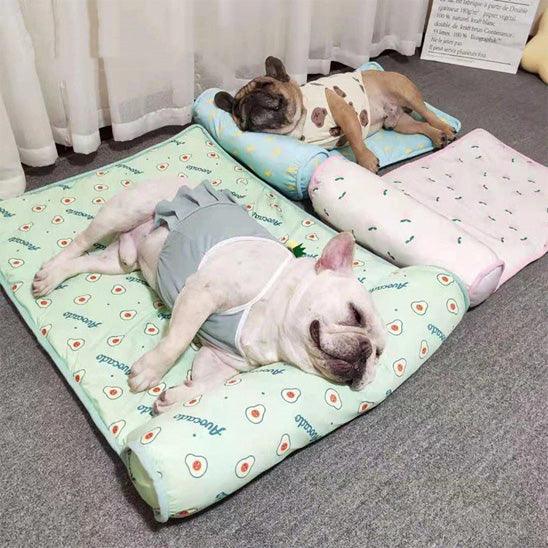 PetSafe™ Cooling Dog Mat – Stay Cool, Comfortable & Safe - My Pet's Palace