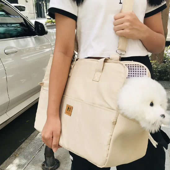 dog-securely-strapped-in-booster-seat