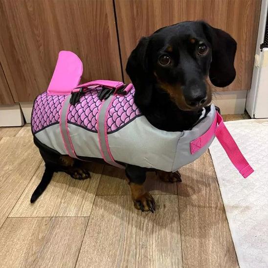 PetSafe™ Dog Shark Life Jacket – Reflective, Adjustable Straps & Rescue Handle for Safe Swimming - My Pet's Palace