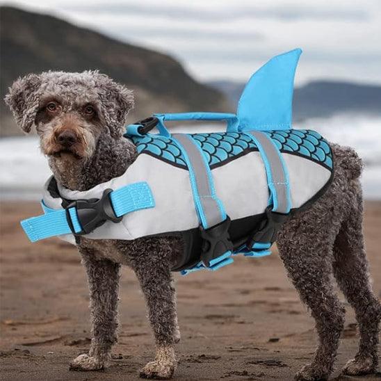 PetSafe™ Dog Shark Life Jacket – Reflective, Adjustable Straps & Rescue Handle for Safe Swimming - My Pet's Palace