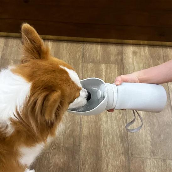 Dog Water Bottle™ – Hydration On the Go for Your Pet - My Pet's Palace