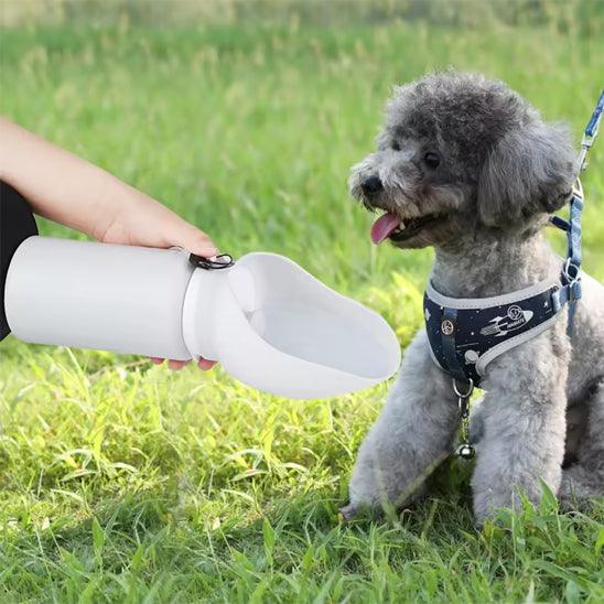 Dog Water Bottle™ – Hydration On the Go for Your Pet - My Pet's Palace