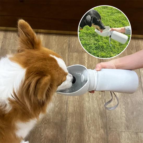 Dog Water Bottle™ – Hydration On the Go for Your Pet - My Pet's Palace