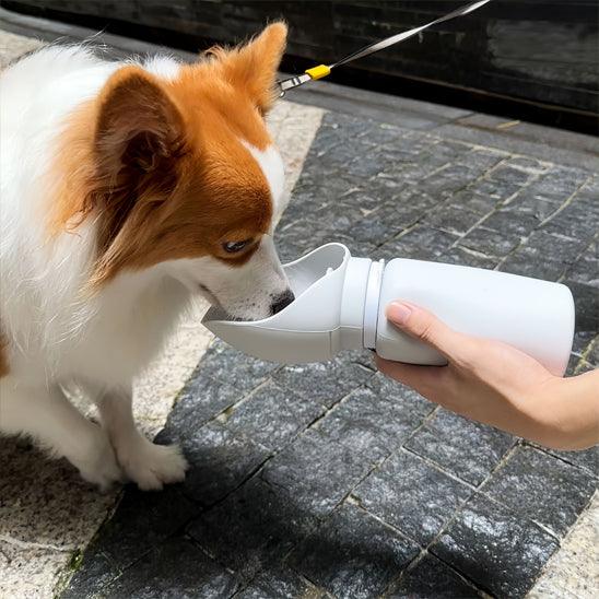 Dog Water Bottle™ – Hydration On the Go for Your Pet - My Pet's Palace