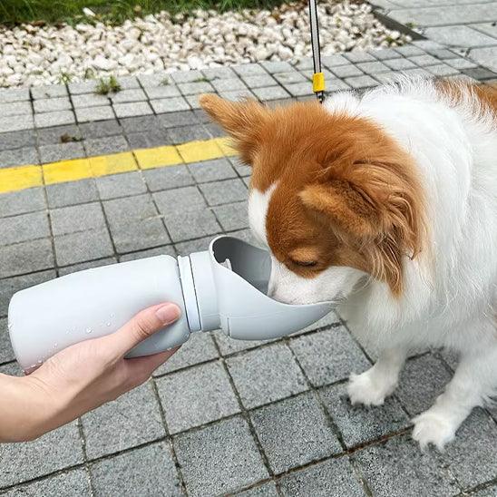 Dog Water Bottle™ – Hydration On the Go for Your Pet - My Pet's Palace