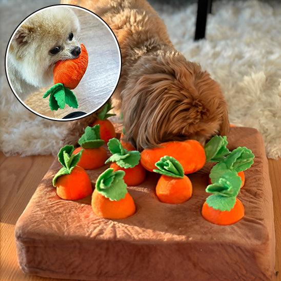 interactive-dog-toys-Anti-slip