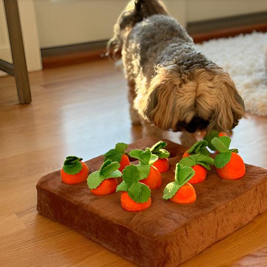 interactive-dog-toys-anti-bordem