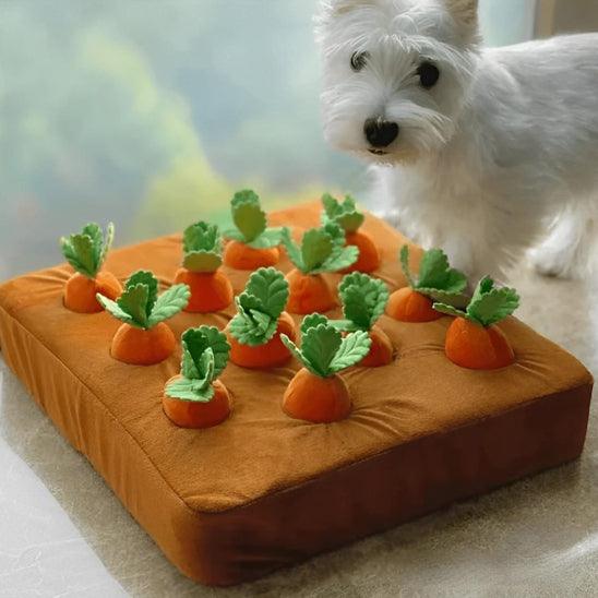 interactive-dog-toys-carrot-shape