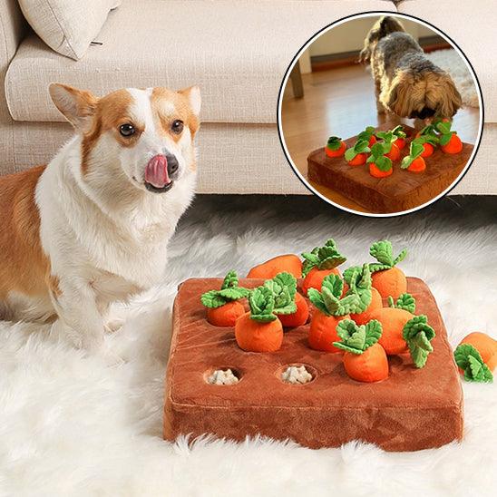 interactive-dog-toys-chewing-puzzle